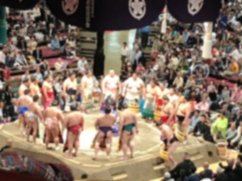 sumo1