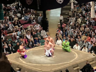 sumo2